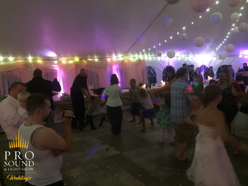 140823 Hibbing Wedding DJ 04