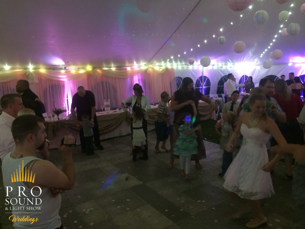 140823 Hibbing Wedding DJ 05