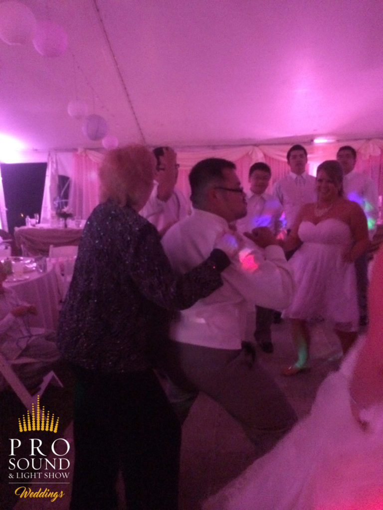 140823 Hibbing Wedding DJ 06