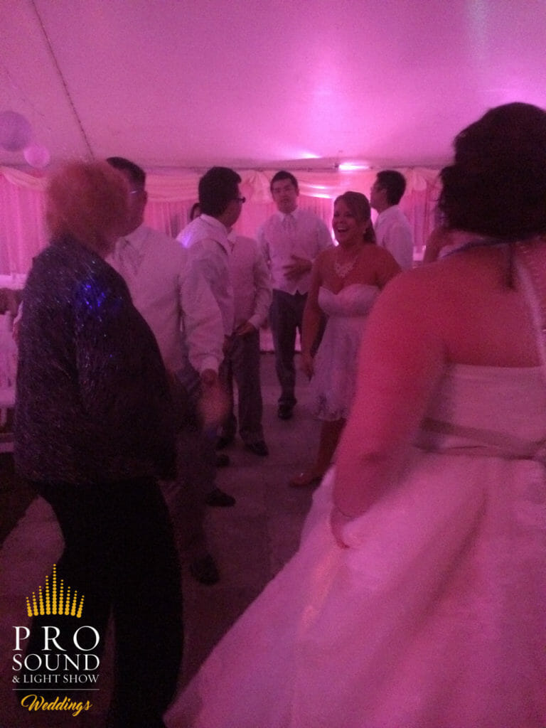 140823 Hibbing Wedding DJ 07