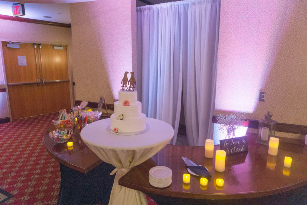 crowne plaza minneapolis wedding dj 13